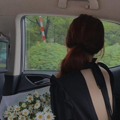 盒子里的猫 第二季